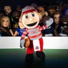 Bleacher Creatures Ohio State Buckeyes Brutus Buckeye 10" Mascot Plush Figure - 2 of 4