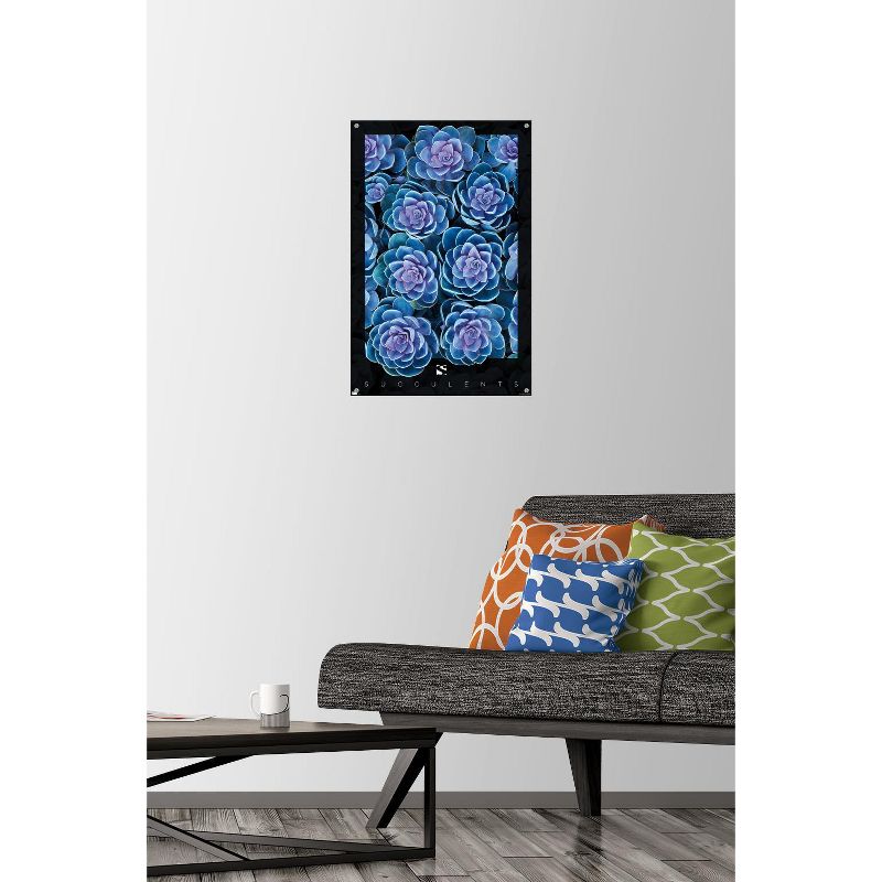 Trends International Succulents - Purple Unframed Wall Poster Prints, 2 of 7