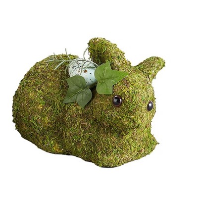 Spring Woodland Forest Home Collection
