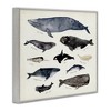 Stupell Industries Vintage Nautical Chart of Whales Ocean Life Framed Giclee Art - 2 of 4