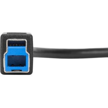 Cabo USB-C para USB-B 3.0 - 1,8 m - MONOPRICE - WorkPlace