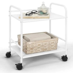 Dcolora 2-Tier Metal Rolling Utility Cart ¨C Mobile Storage Shelf with Caster Wheels ¨C Small Space Organizer for Home, Office, Bedroom, Kitchen - 1 of 1