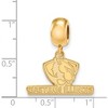 Black Bow Jewelry 14k Yellow Gold Plated Sterling Silver Eastern Illinois Panthers NCAA Bead Charm - 2 of 3