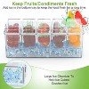 LunaLulinlk Ice Chilled Condiment Caddy Serving Tray Container Bar Garnish Holder Salad Platter Server Food Storage - 4 of 4