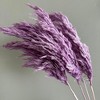 Alilang Decorative Dried Tall Grass Stems for Home Decoration and Floral Arrangements, 27.5 Inches - 2 of 4