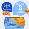 Gerber Baby Food Stage 2 Butternut Squash Puree Tub - 2ct/8oz - 4 of 4