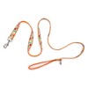 The Worthy Dog Tutti Frutti Pet Leash - 3 of 4