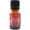 Plantlife Mugwort Essential Oil – 100% Pure & Therapeutic Grade – Natural, Undiluted & Steam-Distilled – No Additives or Fillers – 10ml Aromatherapy - 2 of 2
