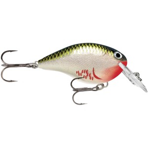 Rapala Dives-To 06 Fishing Lure - 1 of 2
