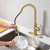 Kitchen Sink Faucet with Pull Down Dual Function Sprayer  Single Handle with Deck Plate Brushed Gold - image 3 of 4