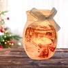 Stony Creek 4.0 Inch Delightful Snowman Small Jar Electric Christmas Winter Novelty Sculpture Lights - 2 of 4
