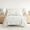 Lightweight All Season Quilt Set – Soft Microfiber Coverlet in Blooming Daisy Print - Becky Cameron - 4 of 4