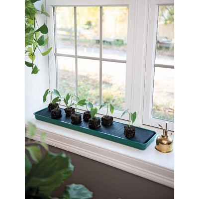 Self-Watering Windowsill Tray - green - Gardener's Supply Company