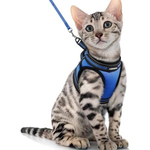 rabbitgoo Cat  Escape Proof, Adjustable Soft Kittens Vest with Reflective Strip for Cats, Comfortable Outdoor Vest, Blue, XL - 1 of 1