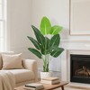 4.5ft Canna Plant - 9 Leaves, Plastic and Iron Construction, Realistic Canna Leaf Design, Tall Artificial Indoor and Outdoor Decoration - 3 of 4