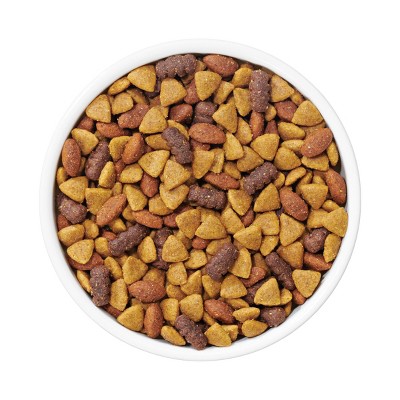 Purina Dog Chow Complete Adult Beef Flavor Dry Dog Food 18.5 lbs