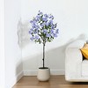 4FT/5FT Artificial Blue Plumbago Tree in White Planter: Indoor Decor Faux Plant with Blue-White Flowers for Home & Office - 2 of 4