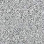 grass gray