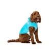 Halloween Squishmallows Tatiana The Dragon Dog Full Body Costume - S - 4 of 4