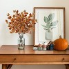 Attop 6 Pcs Fall Eucalyptus Leaves Artificial Eucalyptus Stems Long Silver Dollar Leaves Autumn Leaf for Indoor Home Autumn - 4 of 4