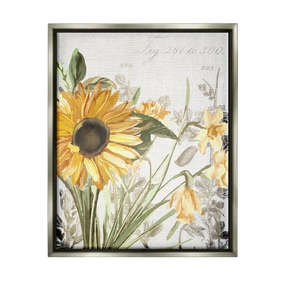 Stupell Industries Soft Sunflower Floral over Vintage Plant Illustration