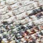 light gray, medium gray, gray, dark brown, medium brown