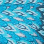 teal feather