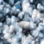 indigo blue/ivory