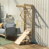 Dexmalle Foldable Indoor Ladder Climbing Gym Climber - 4 of 4