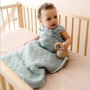 embe Laylo Sleep Sack DUO (Sheet + Comforter-in-1), 6-24 months - 2 of 4