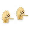 Black Bow Jewelry 10mm Scalloped Seashell Post Earrings in 14k Yellow Gold - 2 of 4