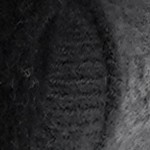 paw print gray