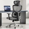 Fontoi Task and Office Chairs, Computer Desk Chair with Adjustable Lumbar Support, Office Chair with Adjustable Headrest, Gray, 28.1"*48"*28.1" - 3 of 4