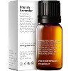 Gya Labs English Lavender Essential Oil 0.34 Fl Oz 100% Pure Natural Floral Herbaceous - 2 of 4