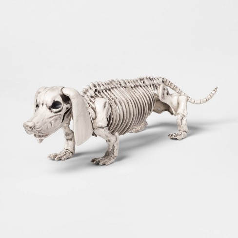 Halloween Skeleton Dog Prop New Puppy Decoration 19 Inches Long