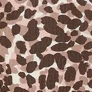 leopard c01