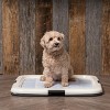 IRIS USA Square Pet Training Pad Holder - 3 of 4