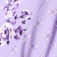 soft iris pretty rose