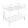 Whisen Metal Bunk Bed with Ladder - 3 of 4