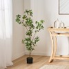 Gulches 47 Inch PIERIS Potted Artificial Pieris Tree Plants: A Great Fit for Indoor Gardens, Living Rooms and Bedrooms - 2 of 4