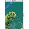 Trends International Snowtap - Chameleon Photobomb Unframed Wall Poster Prints - 3 of 4