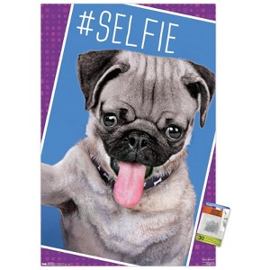 Trends International Keith Kimberlin - Kittens - Pug - Selfie Unframed Wall Poster Prints - 1 of 4