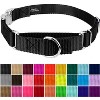 Country Brook Petz Heavyduty Nylon Martingale with Premium Buckle - 3 of 4