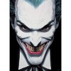 USAopoly The Joker: Clown Prince of Crime Jigsaw Puzzle - 1000pc - image 3 of 4