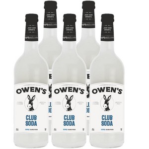 Owen’s Craft Mixers | Handcrafted in the USA with Premium Ingredients | Vegan & Gluten-Free Soda Mocktail and Cocktail Mixer - 1 of 2