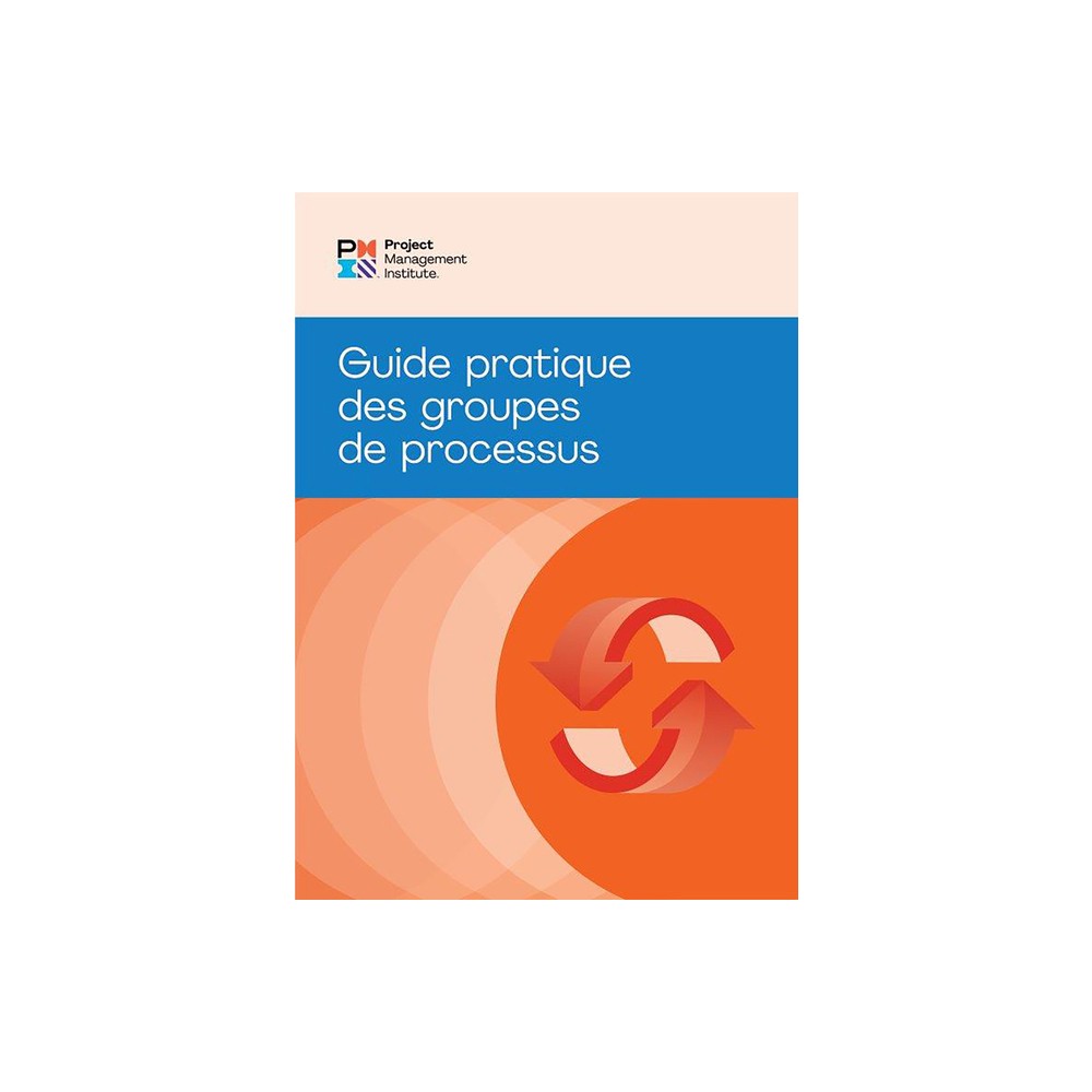 Process Groups: A Practice Guide (French) - by Pmi (Paperback)