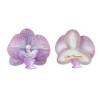 Unique Bargains Women's Phalaenopsis Faux Pearl Duckbill Clip 2 Pcs - 3 of 4