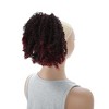 Unique Bargains Women's Fluffy Ponytail Short Hair Hair Extension High Temperature Fiber 9.8IN 1 Pc - 3 of 4