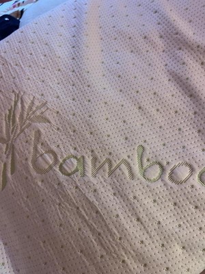 Coop's Simple Review - Miracle Bamboo Cushion 