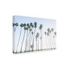 Trademark Fine Art - Elena Chukhlebova Keep Palm and Carry On Canvas Art - 4 of 4
